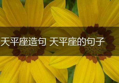 天平座造句 天平座的句子