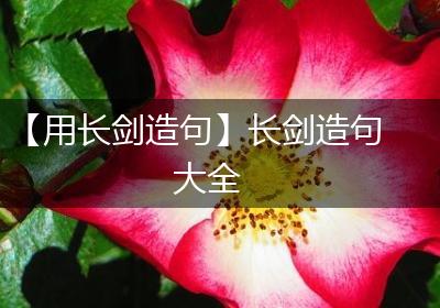 【用长剑造句】长剑造句大全
