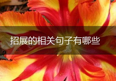招展的相关句子有哪些