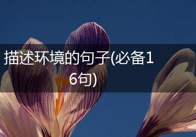 描述环境的句子(必备16句)