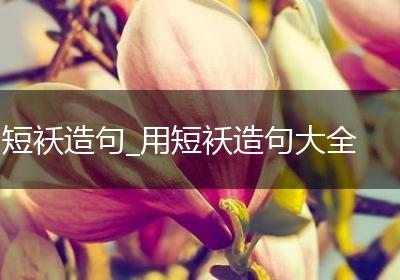 短袄造句_用短袄造句大全