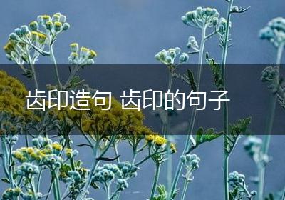 齿印造句 齿印的句子