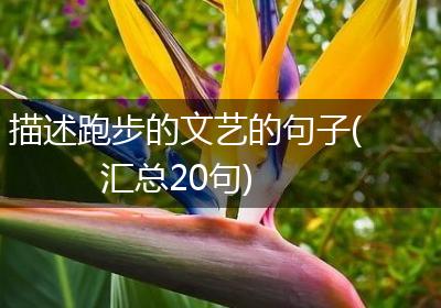 描述跑步的文艺的句子(汇总20句)