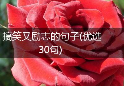 搞笑又励志的句子(优选30句)