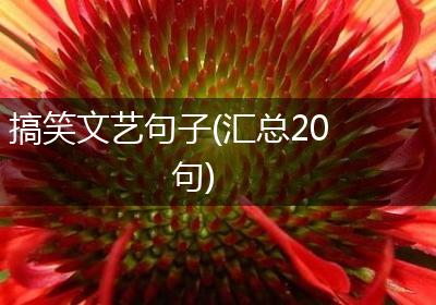 搞笑文艺句子(汇总20句)