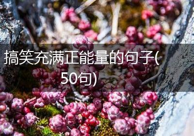 搞笑充满正能量的句子(50句)
