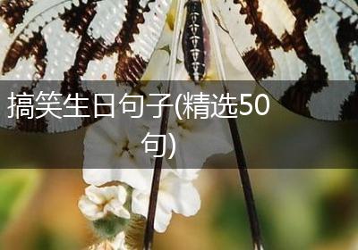 搞笑生日句子(精选50句)