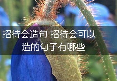 招待会造句 招待会可以造的句子有哪些
