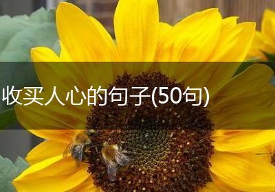 收买人心的句子(50句)