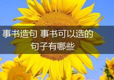 事书造句 事书可以造的句子有哪些