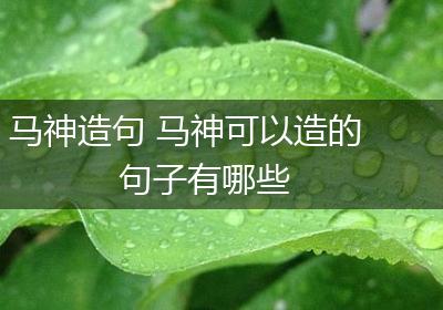 马神造句 马神可以造的句子有哪些