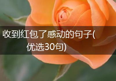 收到红包了感动的句子(优选30句)