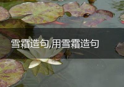 雪霜造句,用雪霜造句