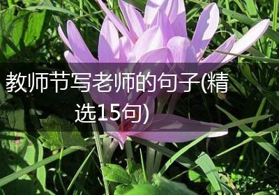 教师节写老师的句子(精选15句)