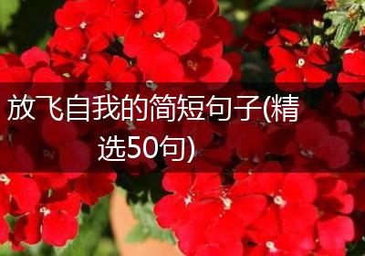 放飞自我的简短句子(精选50句)