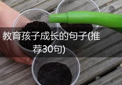 教育孩子成长的句子(推荐30句)
