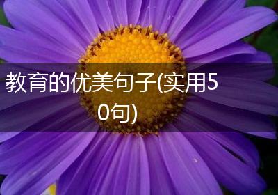 教育的优美句子(实用50句)