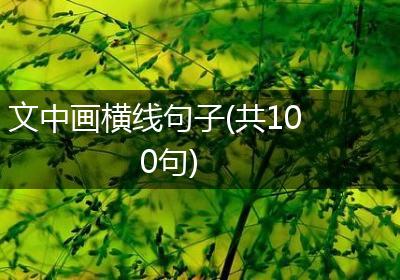 文中画横线句子(共100句)