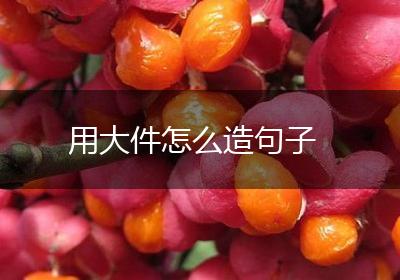 用大件怎么造句子