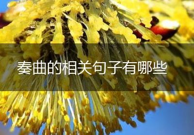 奏曲的相关句子有哪些