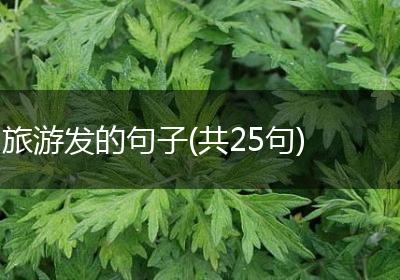 旅游发的句子(共25句)
