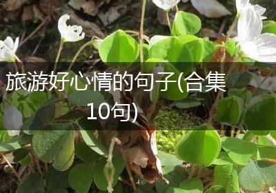 旅游好心情的句子(合集10句)