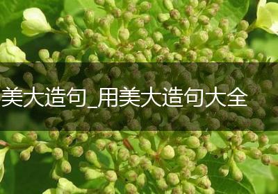 美大造句_用美大造句大全