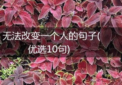 无法改变一个人的句子(优选10句)