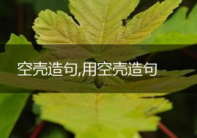 空壳造句,用空壳造句