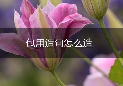 包用造句怎么造