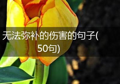 无法弥补的伤害的句子(50句)