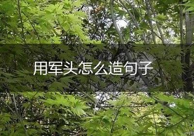 用军头怎么造句子