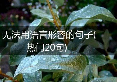 无法用语言形容的句子(热门20句)