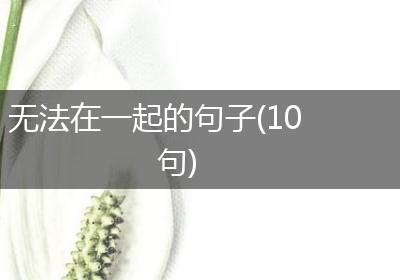 无法在一起的句子(10句)