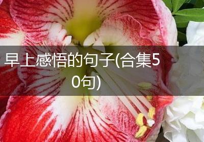 早上感悟的句子(合集50句)