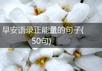 早安语录正能量的句子(50句)
