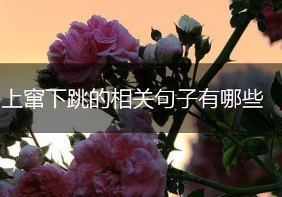 上窜下跳的相关句子有哪些