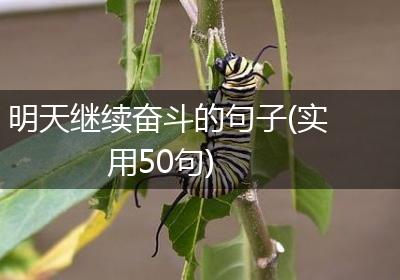 明天继续奋斗的句子(实用50句)
