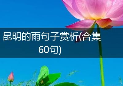昆明的雨句子赏析(合集60句)