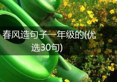 春风造句子一年级的(优选30句)