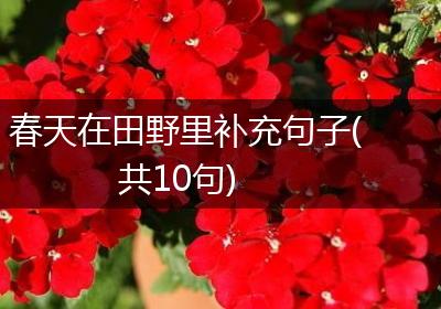 春天在田野里补充句子(共10句)