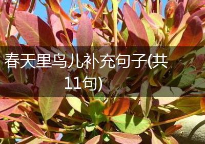 春天里鸟儿补充句子(共11句)