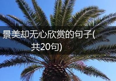 景美却无心欣赏的句子(共20句)