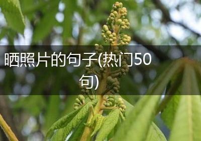 晒照片的句子(热门50句)