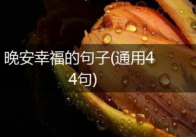 晚安幸福的句子(通用44句)