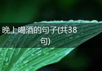 晚上喝酒的句子(共38句)