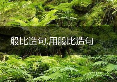 般比造句,用般比造句