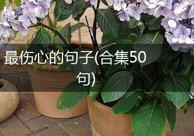 最伤心的句子(合集50句)