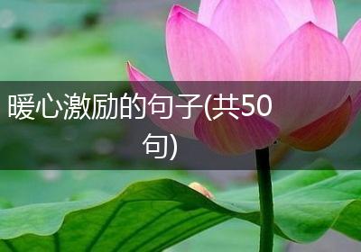 暖心激励的句子(共50句)