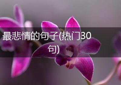 最悲情的句子(热门30句)